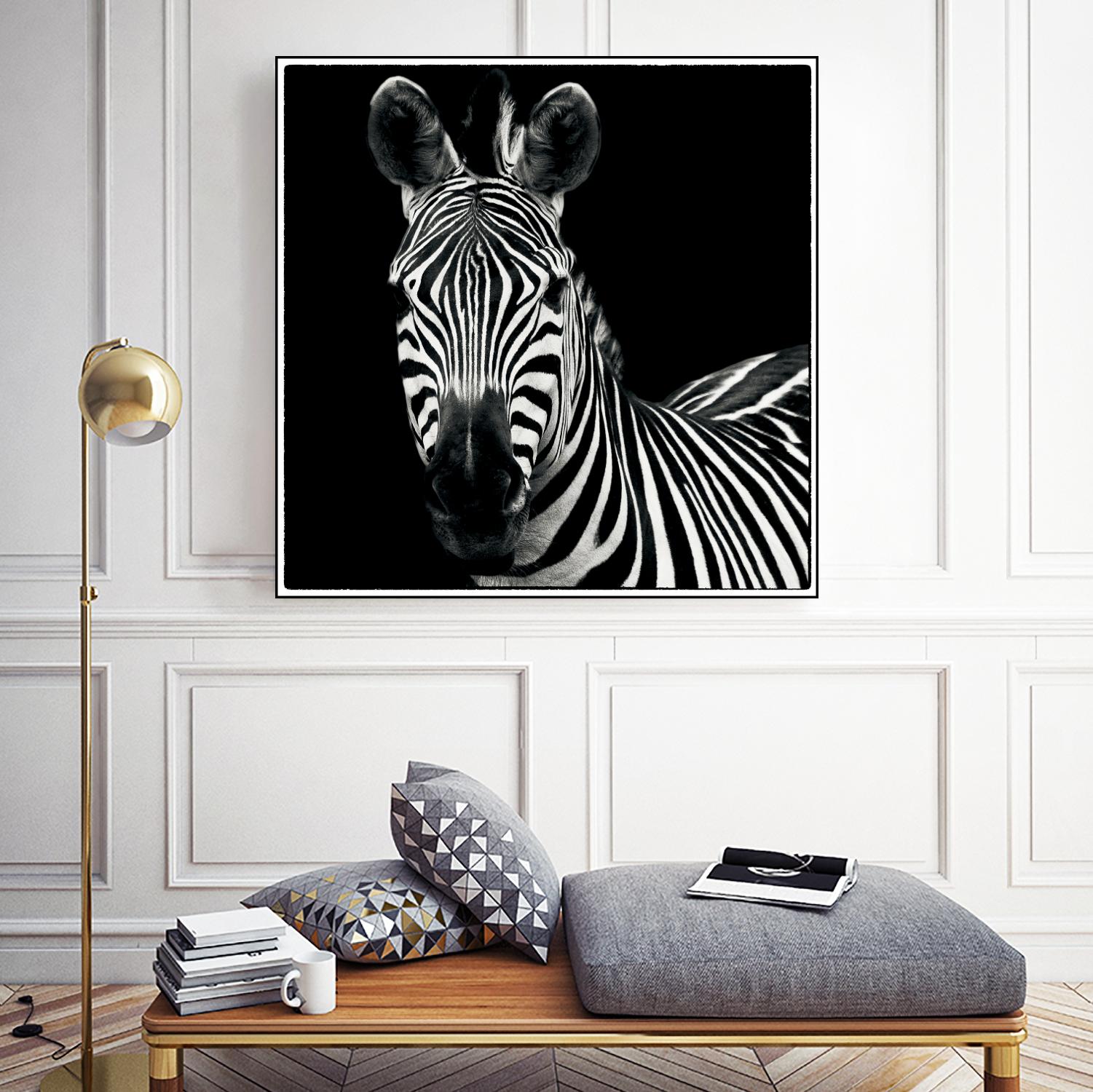 Zebra II by Debra Van Swearingen on GIANT ART - white animals