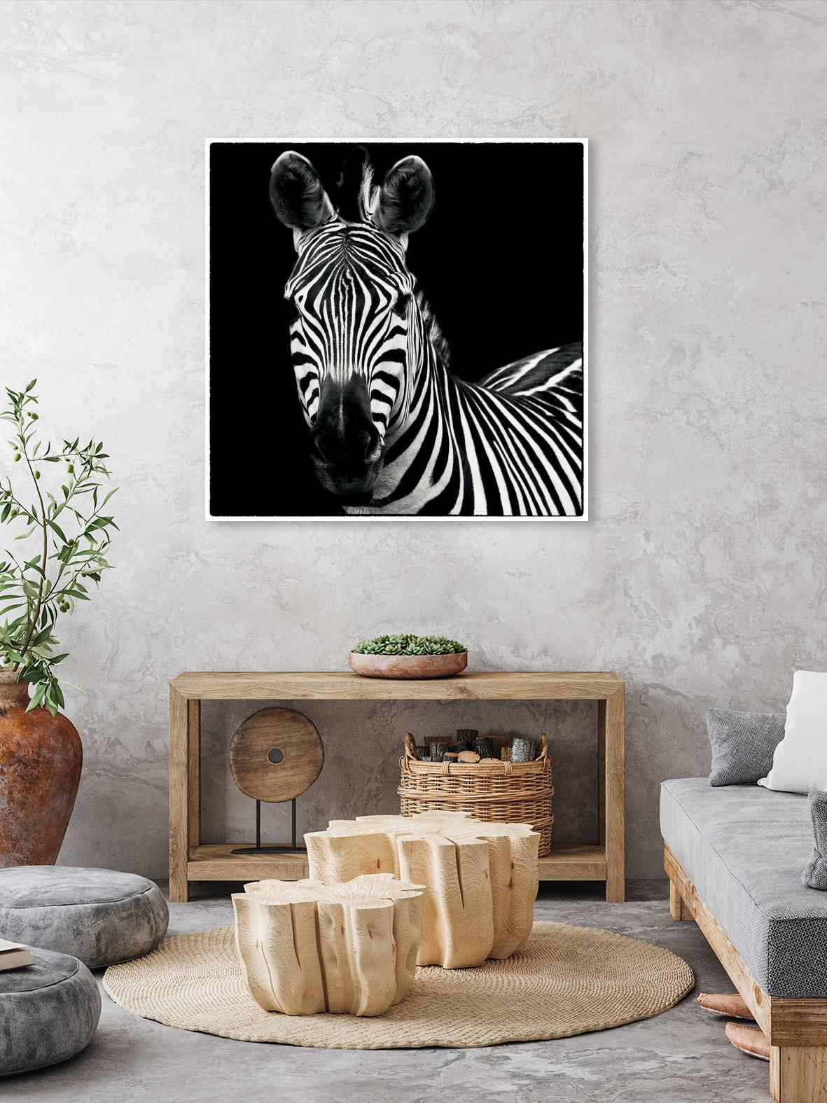 Zebra II by Debra Van Swearingen on GIANT ART - white animals