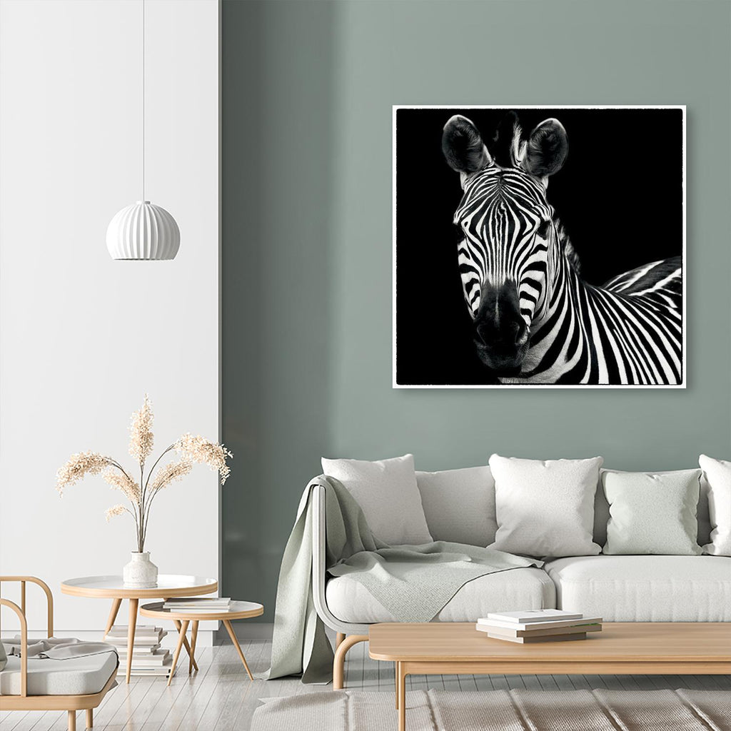 Zebra II by Debra Van Swearingen on GIANT ART - white animals