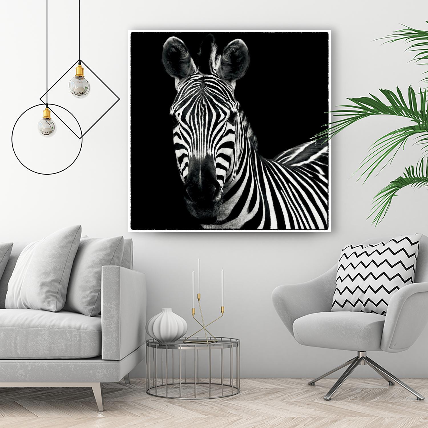 Zebra II by Debra Van Swearingen on GIANT ART - white animals