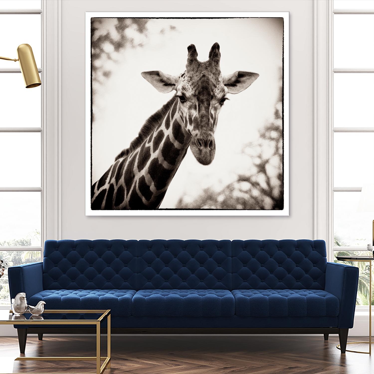 Giraffe I by Debra Van Swearingen on GIANT ART - grey animals