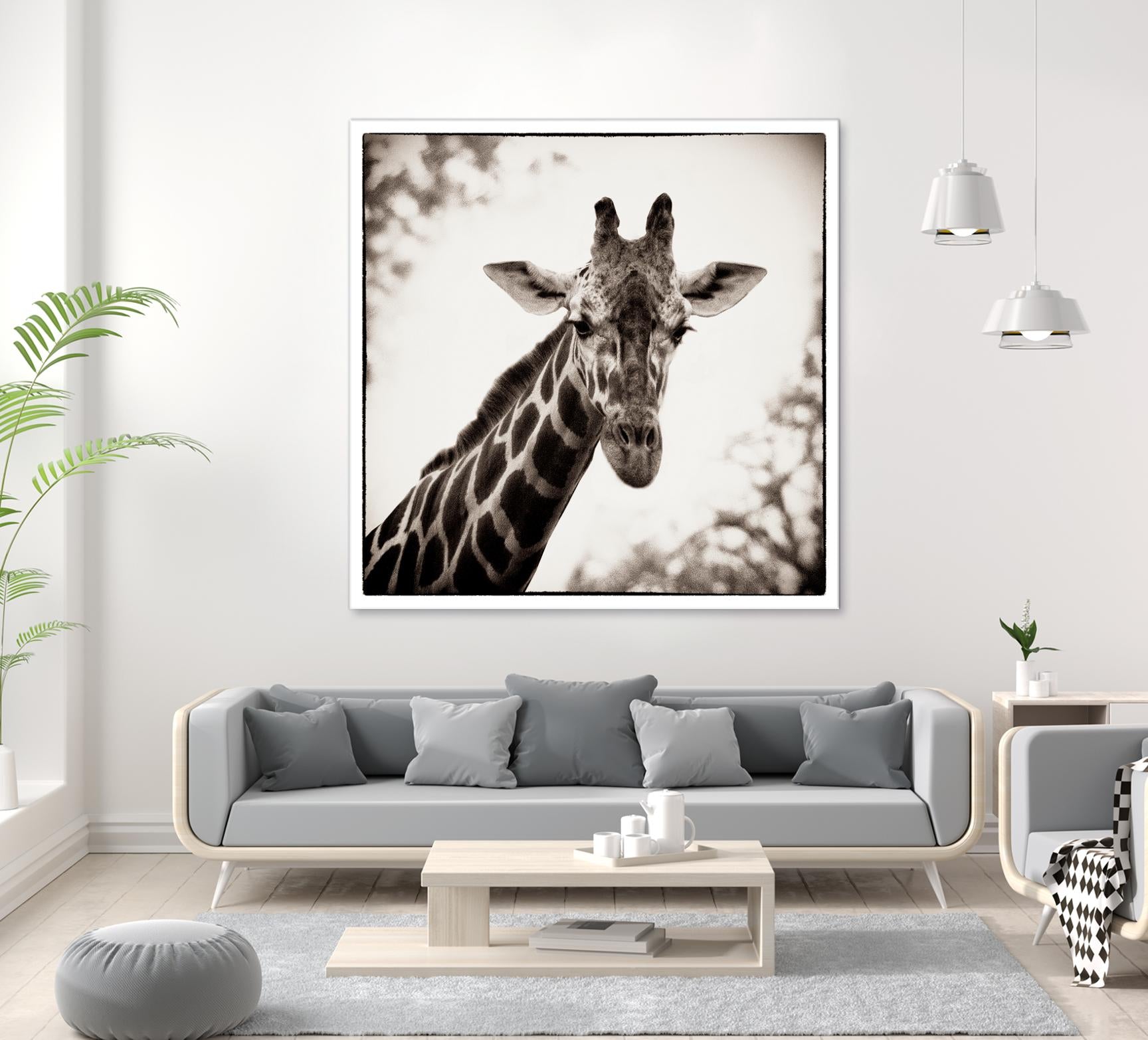 Giraffe I by Debra Van Swearingen on GIANT ART - grey animals