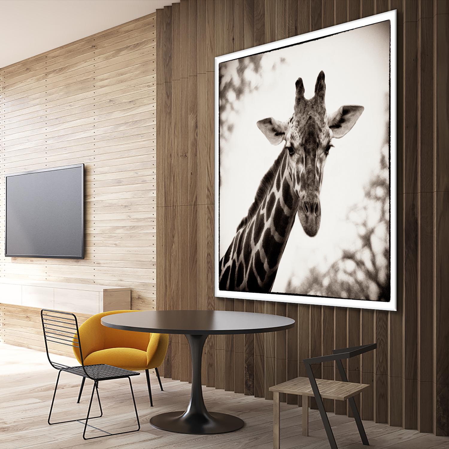 Giraffe I by Debra Van Swearingen on GIANT ART - grey animals