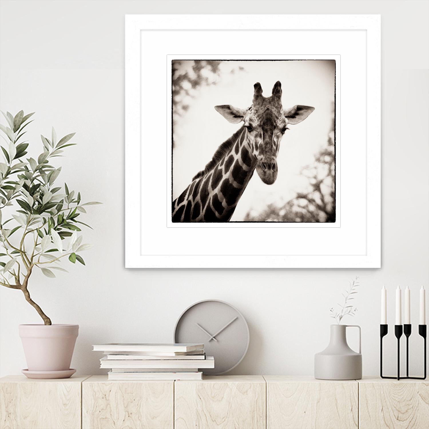 Giraffe I by Debra Van Swearingen on GIANT ART - grey animals