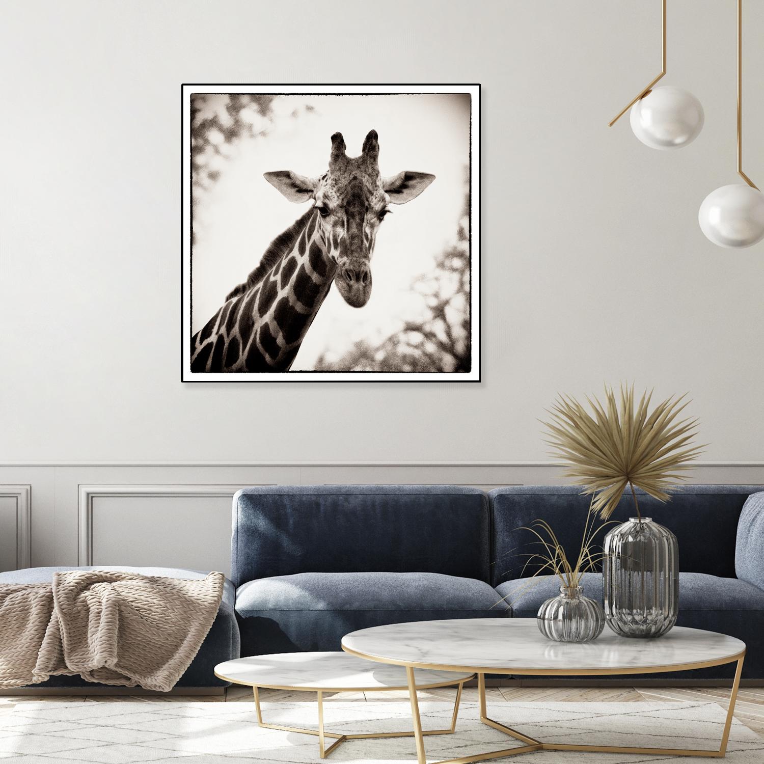 Giraffe I by Debra Van Swearingen on GIANT ART - grey animals