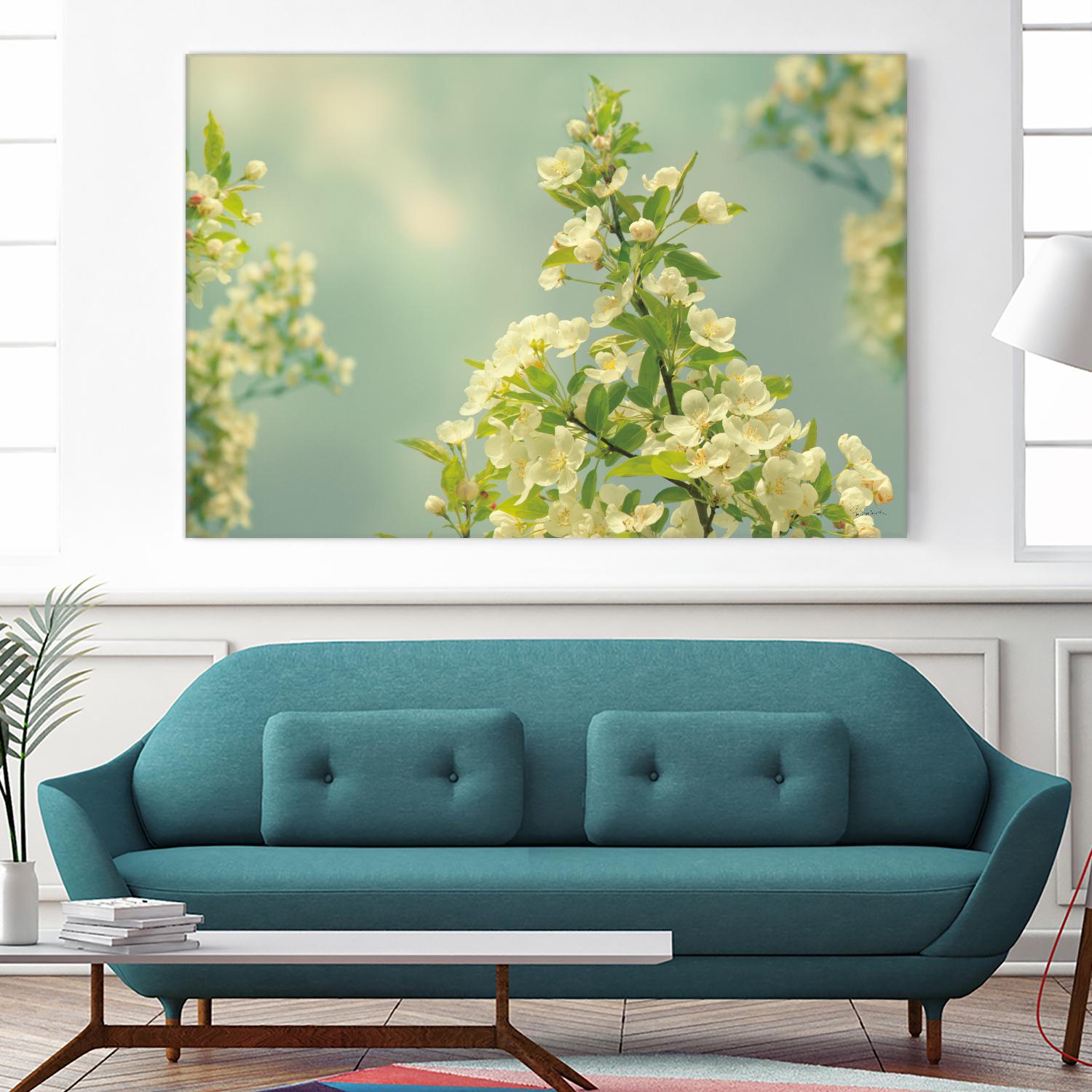 Spring Beauty II by Sue Schlabach on GIANT ART - white floral
