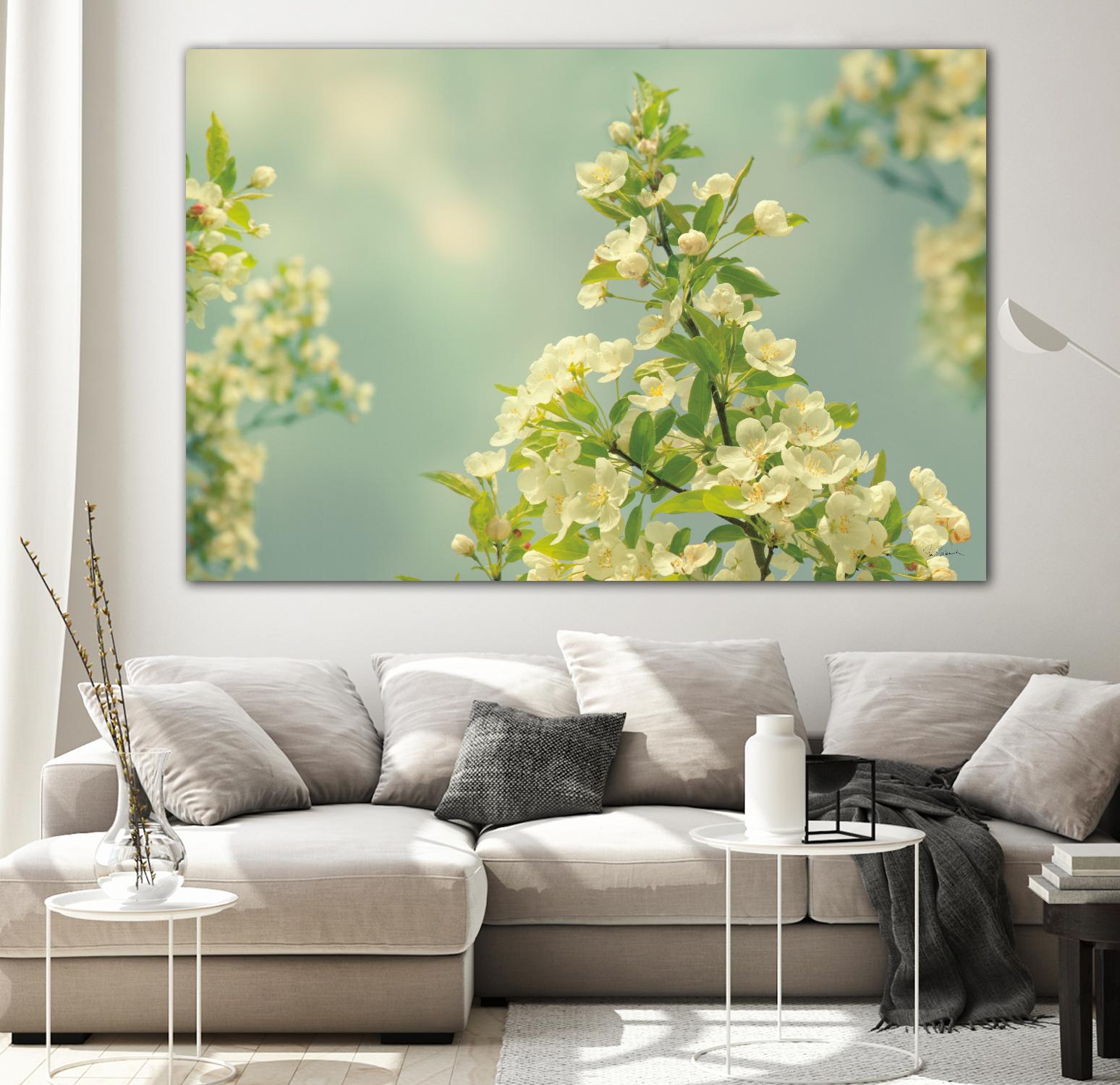 Spring Beauty II by Sue Schlabach on GIANT ART - white floral