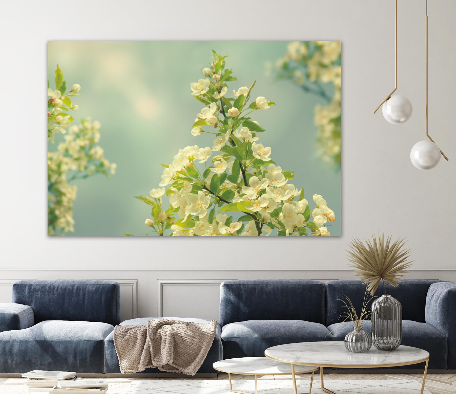 Spring Beauty II by Sue Schlabach on GIANT ART - white floral