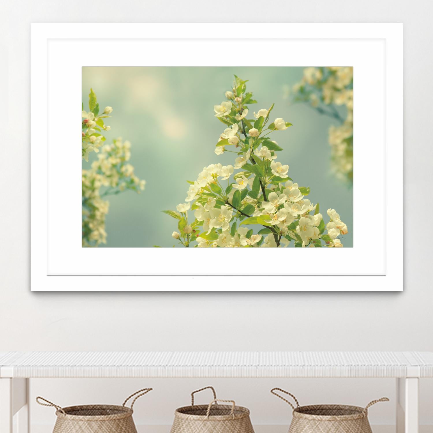 Spring Beauty II by Sue Schlabach on GIANT ART - white floral