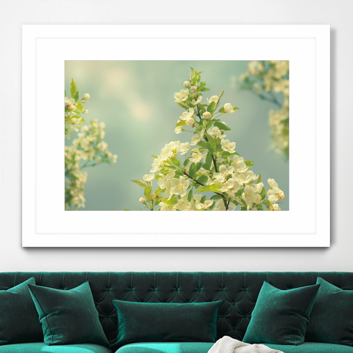 Spring Beauty II by Sue Schlabach on GIANT ART - white floral