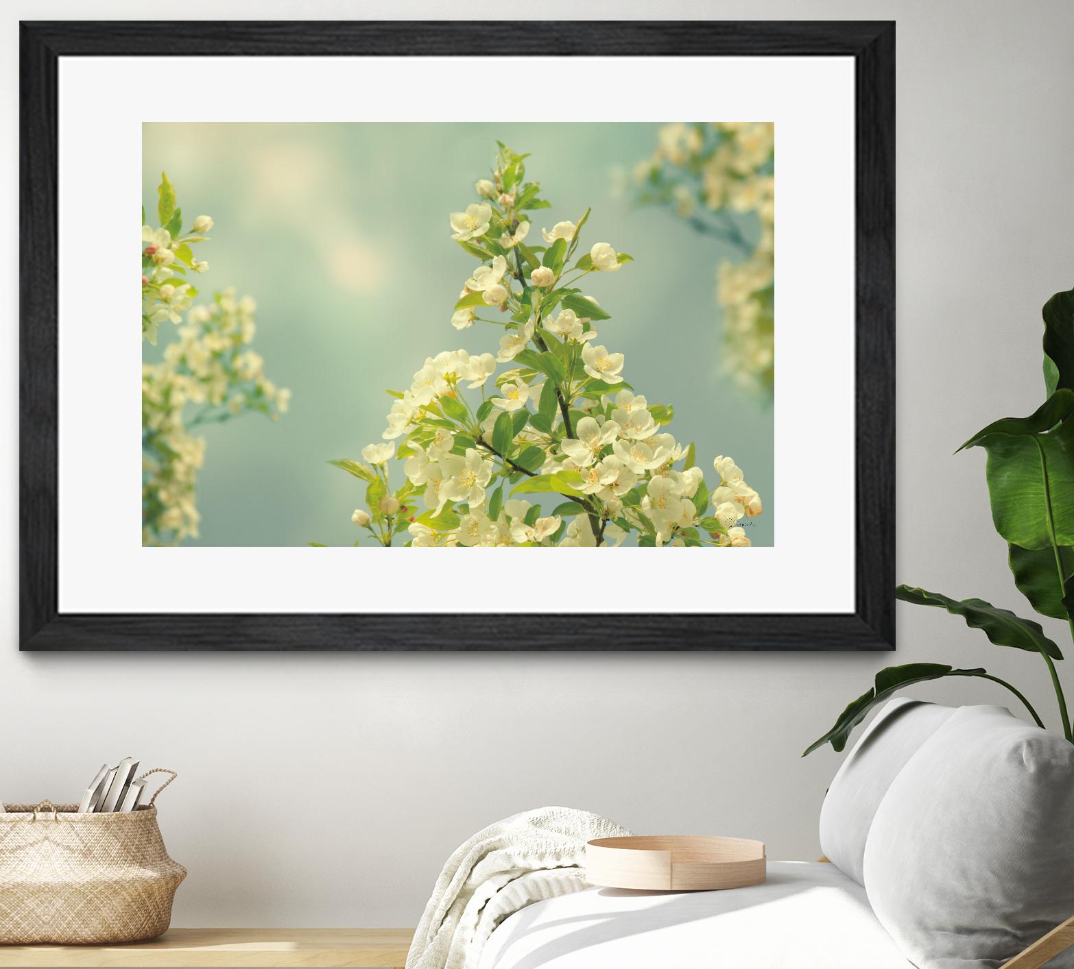 Spring Beauty II by Sue Schlabach on GIANT ART - white floral