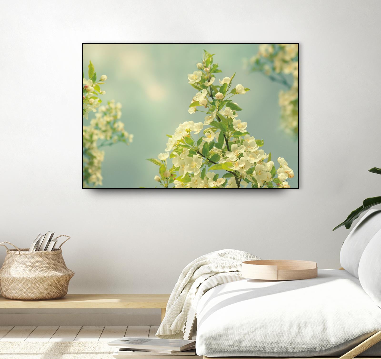 Spring Beauty II by Sue Schlabach on GIANT ART - white floral
