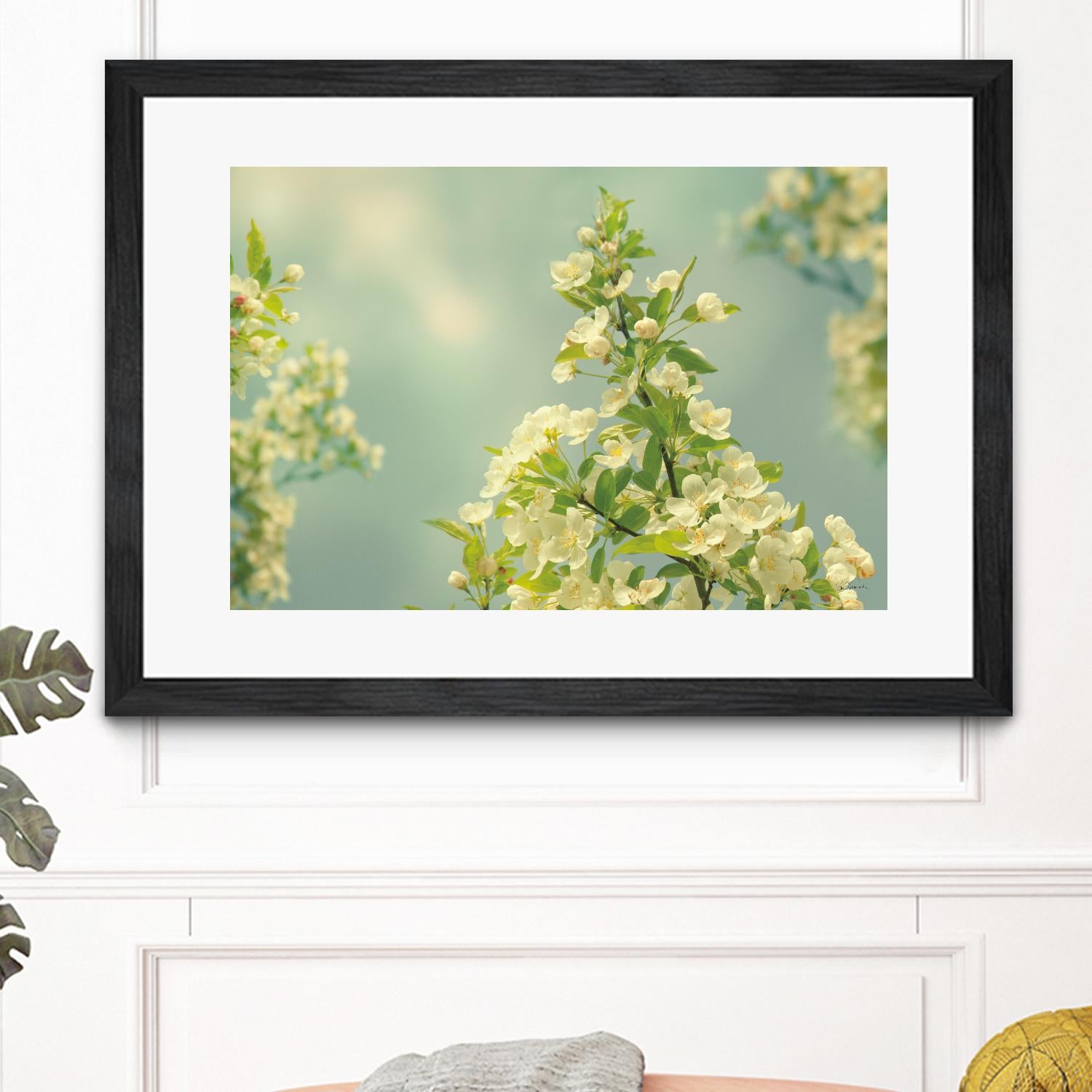 Spring Beauty II by Sue Schlabach on GIANT ART - white floral