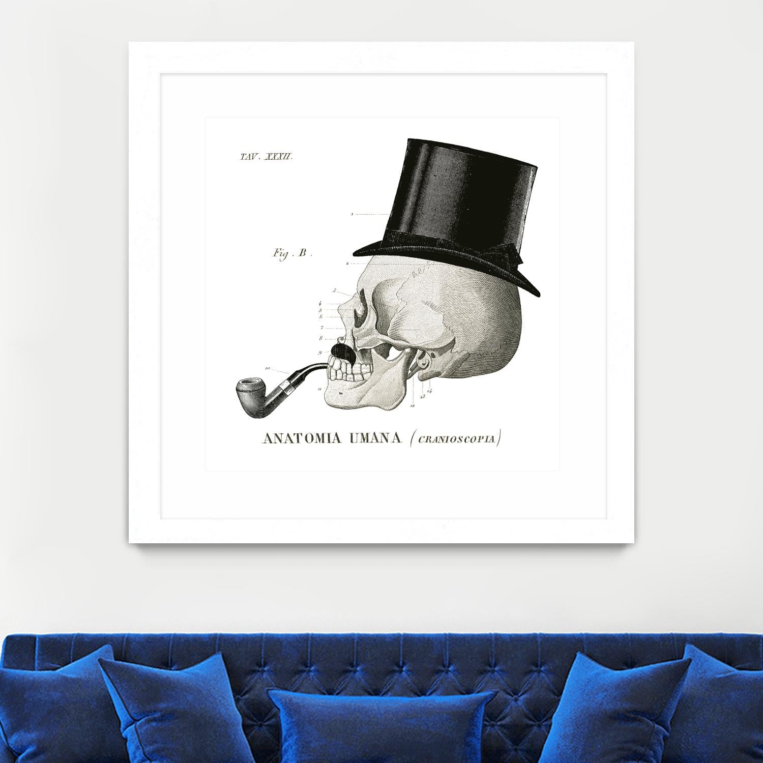 Dandy Bones II by Sue Schlabach on GIANT ART - white vintage