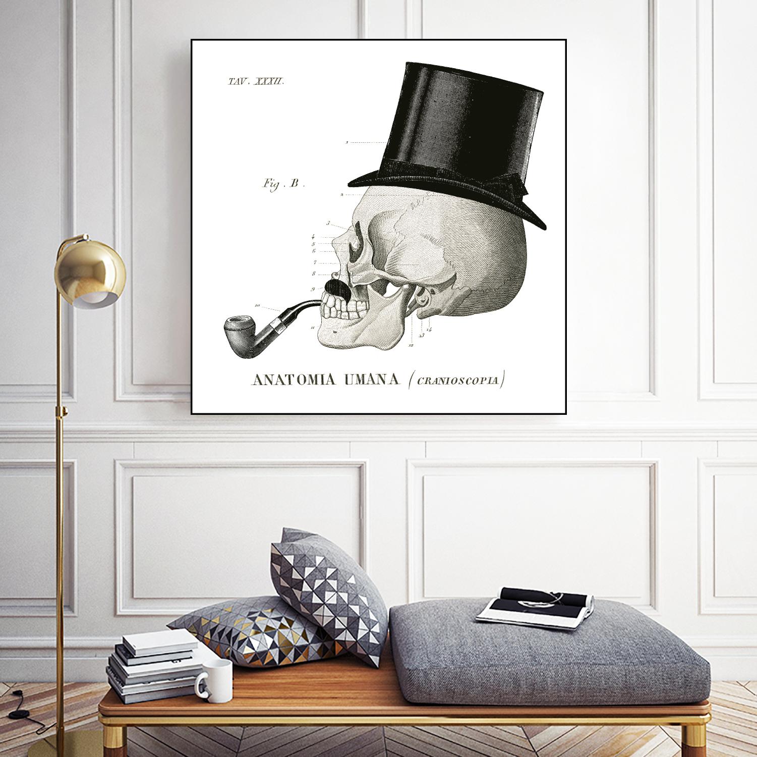 Dandy Bones II by Sue Schlabach on GIANT ART - white vintage