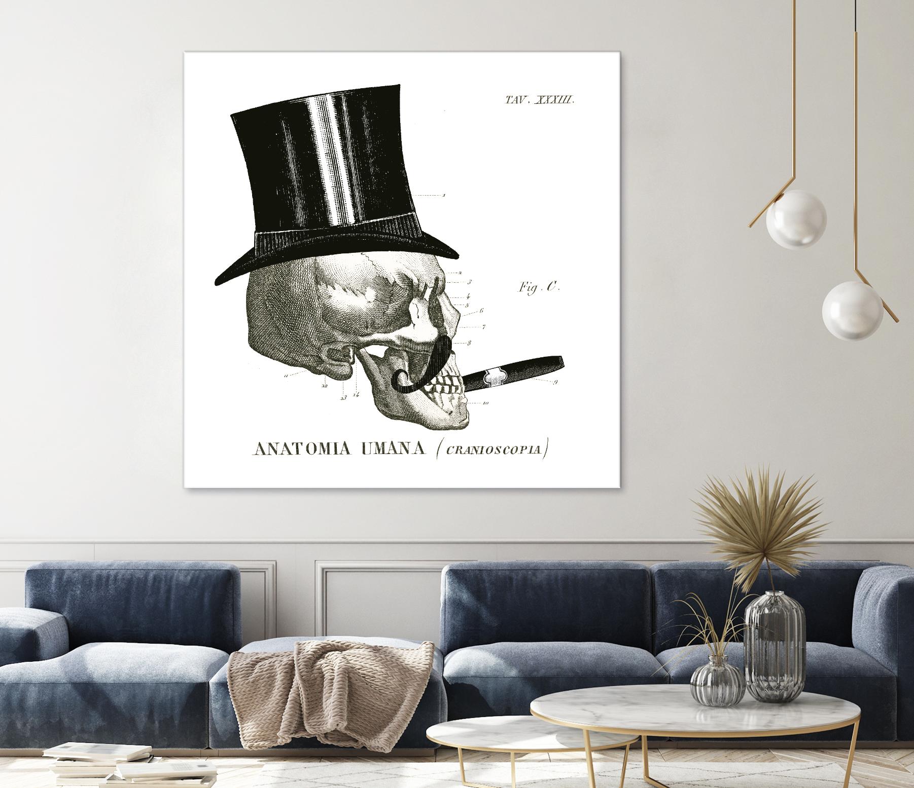 Dandy Bones III by Sue Schlabach on GIANT ART - white vintage