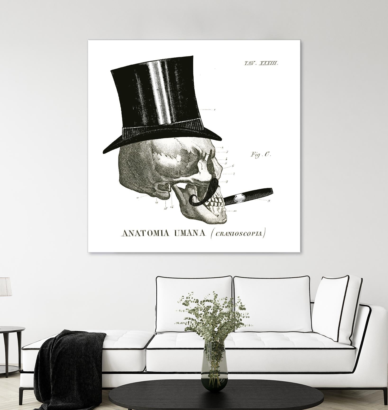 Dandy Bones III by Sue Schlabach on GIANT ART - white vintage