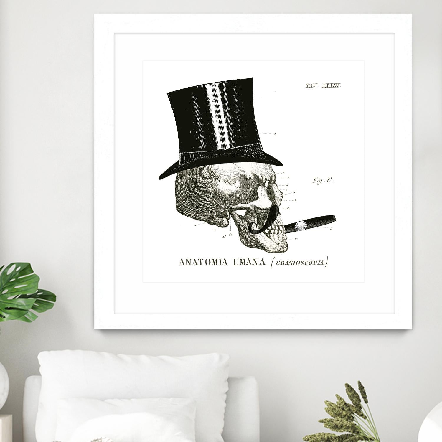 Dandy Bones III by Sue Schlabach on GIANT ART - white vintage