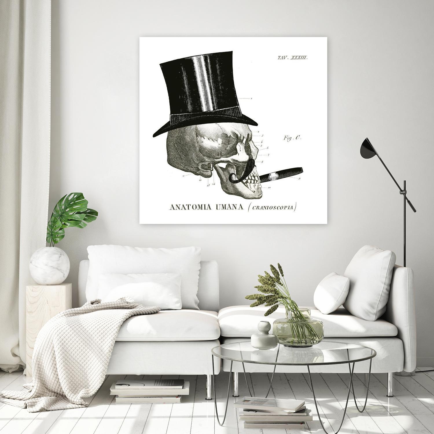 Dandy Bones III by Sue Schlabach on GIANT ART - white vintage