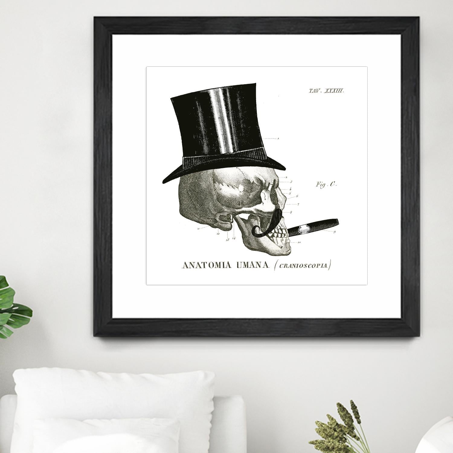 Dandy Bones III by Sue Schlabach on GIANT ART - white vintage