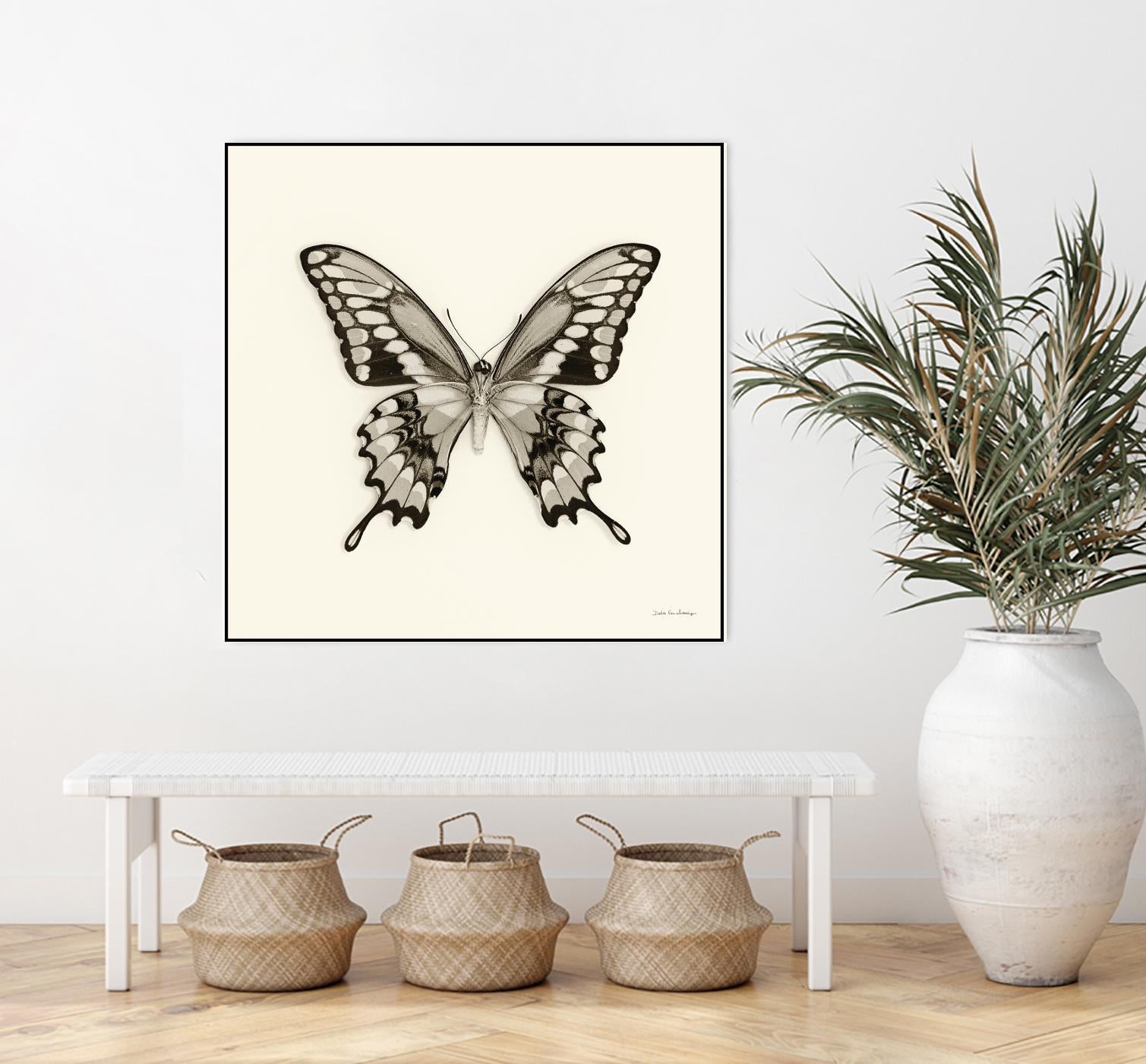 Butterfly VI BW Crop by Debra Van Swearingen on GIANT ART - beige animals