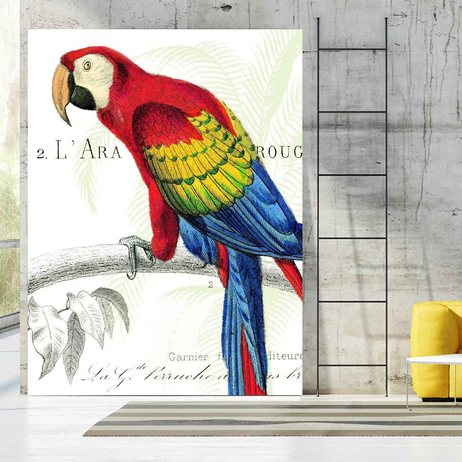 Parrot Botanique II by Portfolio on GIANT ART - blue tropical