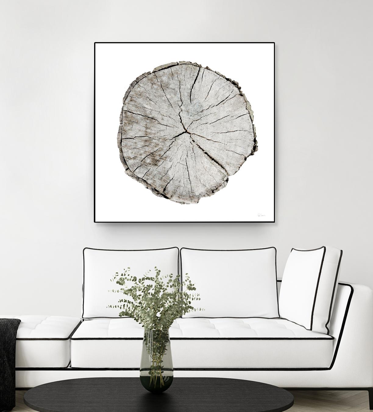 Woodland Years I on White by Sue Schlabach on GIANT ART - grey trees