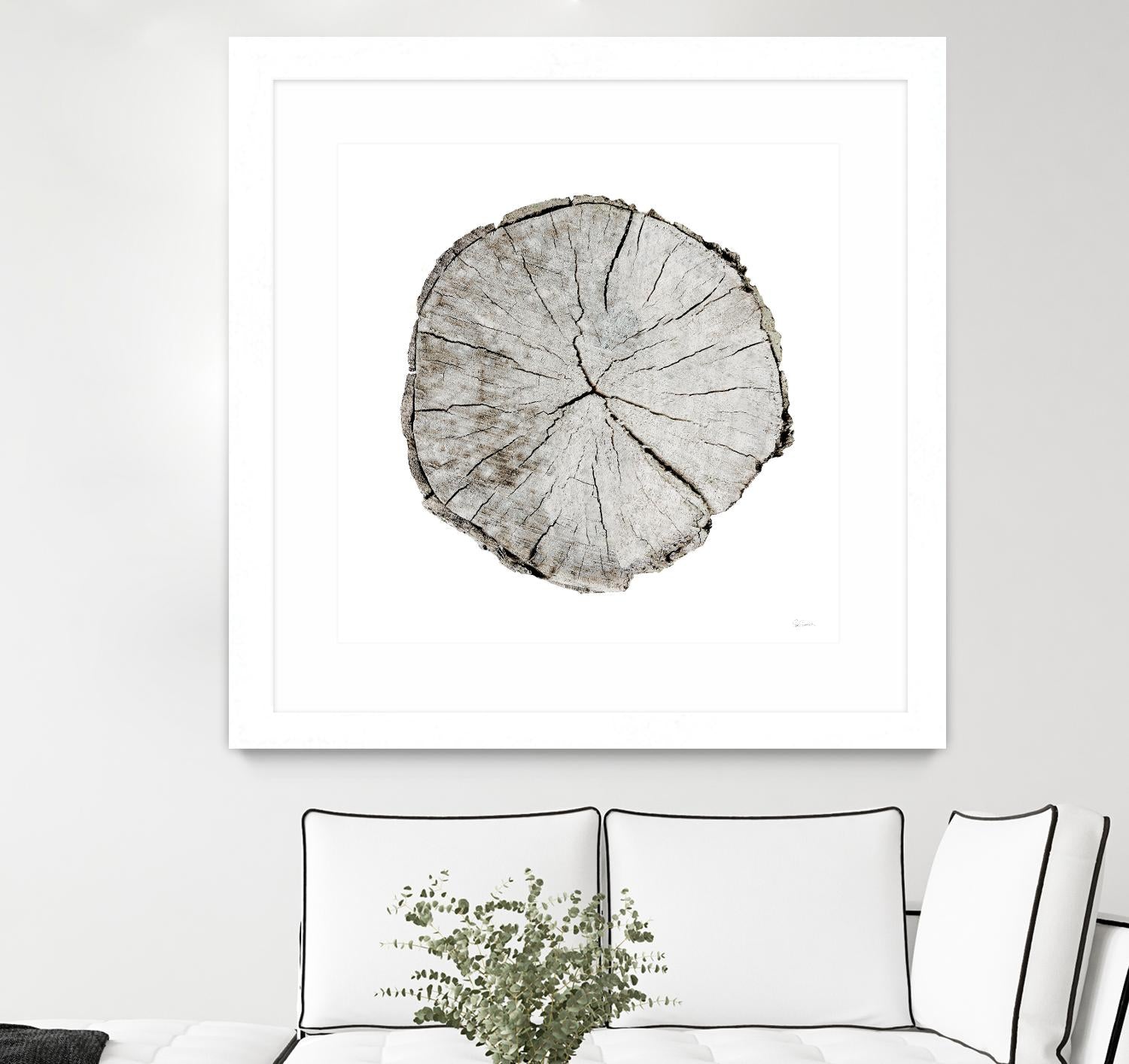 Woodland Years I on White by Sue Schlabach on GIANT ART - grey trees