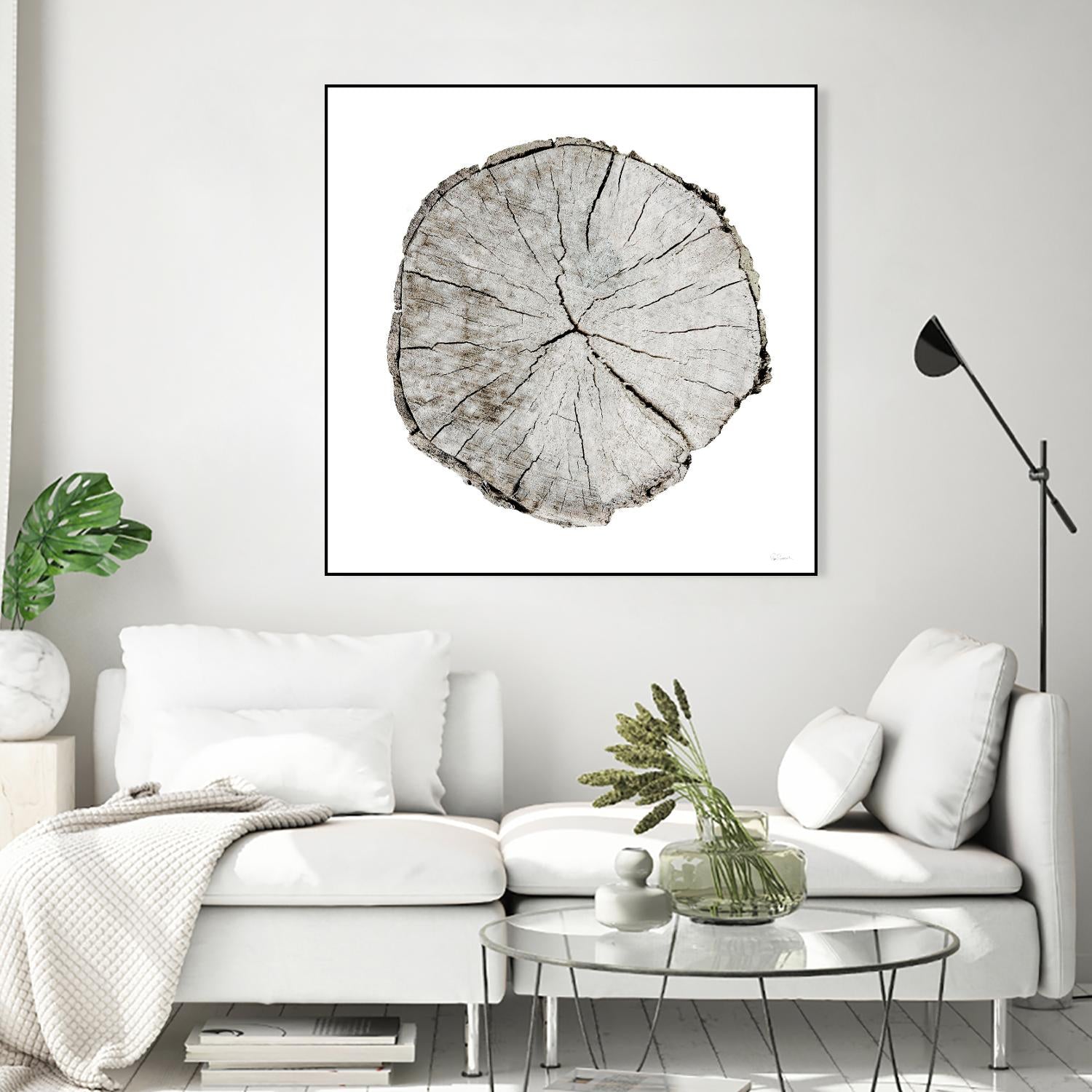 Woodland Years I on White by Sue Schlabach on GIANT ART - grey trees