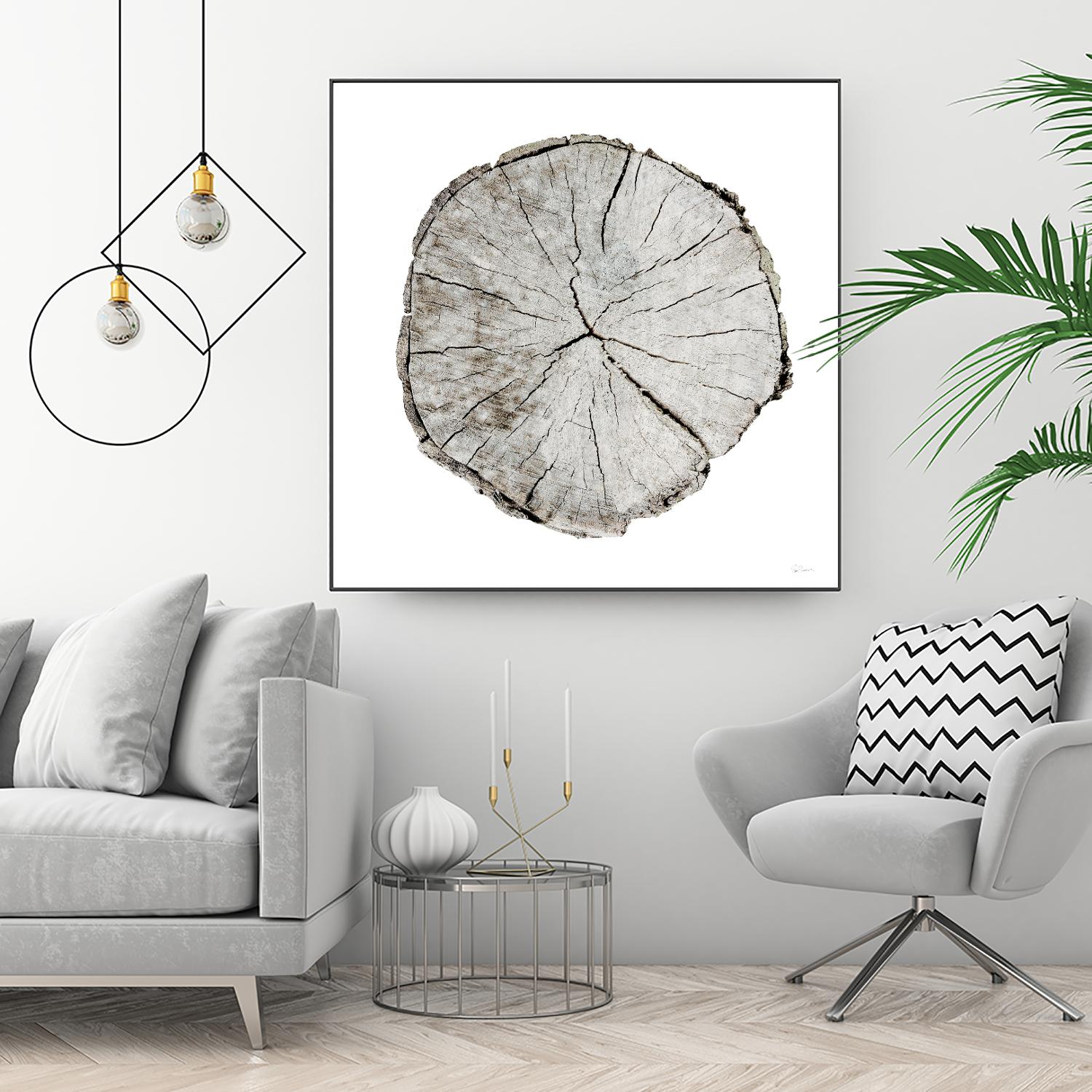 Woodland Years I on White by Sue Schlabach on GIANT ART - grey trees