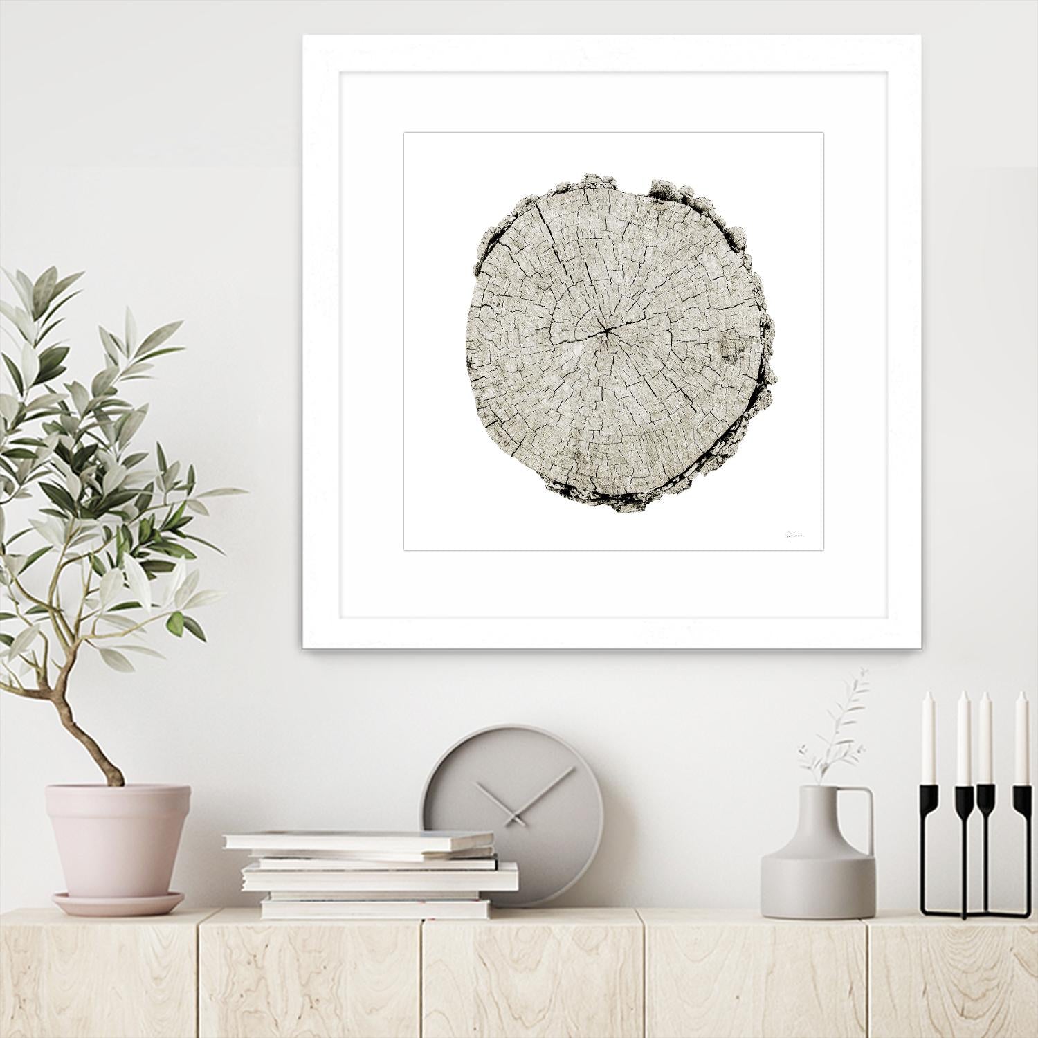 Woodland Years II on White by Sue Schlabach on GIANT ART - grey trees