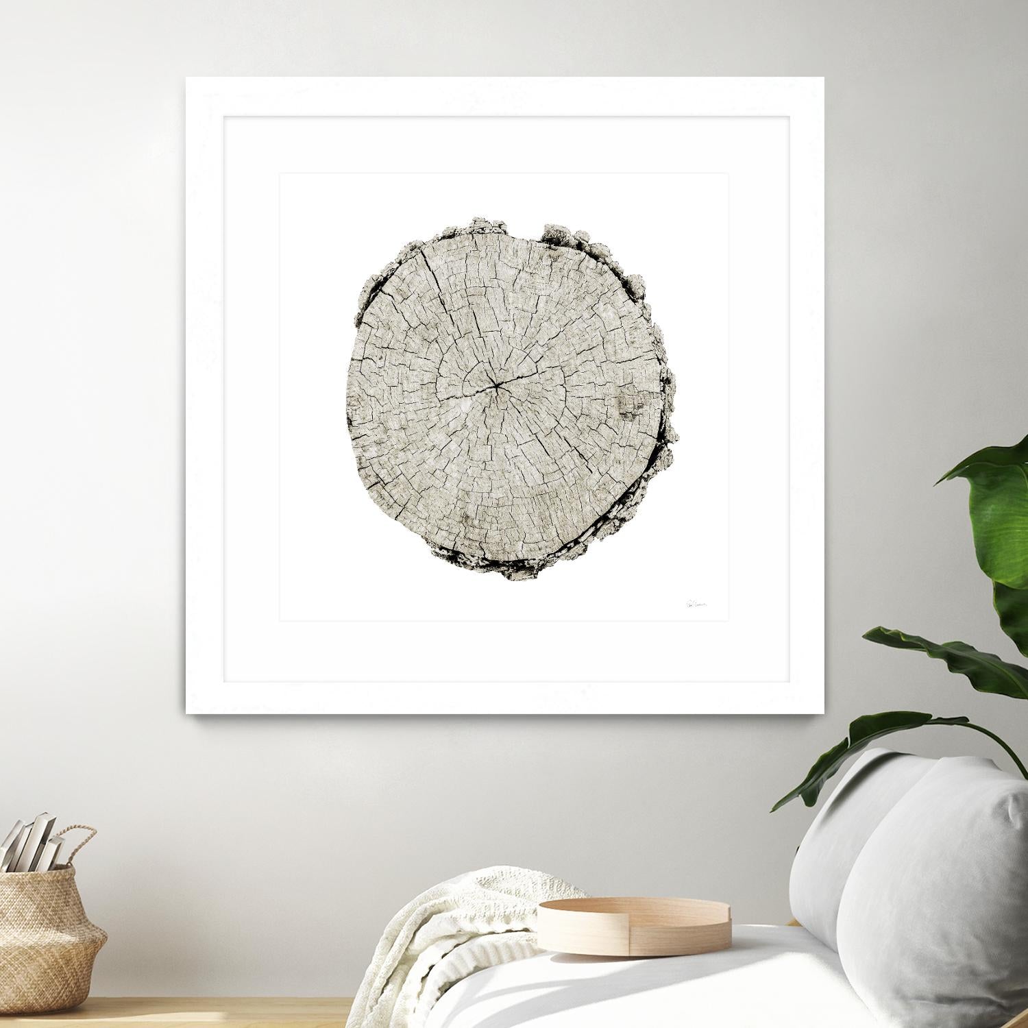 Woodland Years II on White by Sue Schlabach on GIANT ART - grey trees