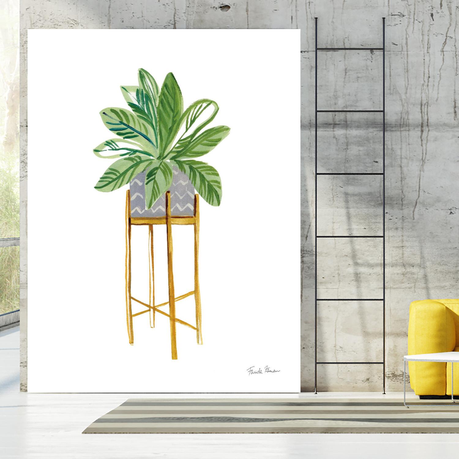 Green House Plants I by Farida Zaman on GIANT ART - botanical gray