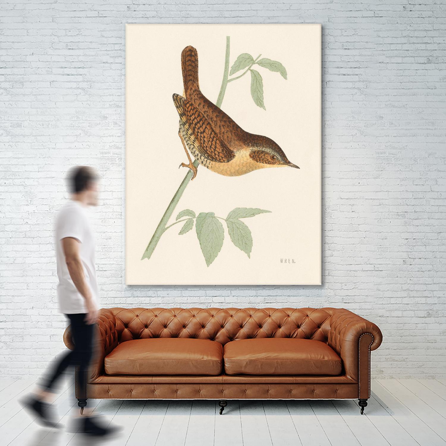 Engraved Birds I by Wild Apple Portfolio on GIANT ART - animals animal