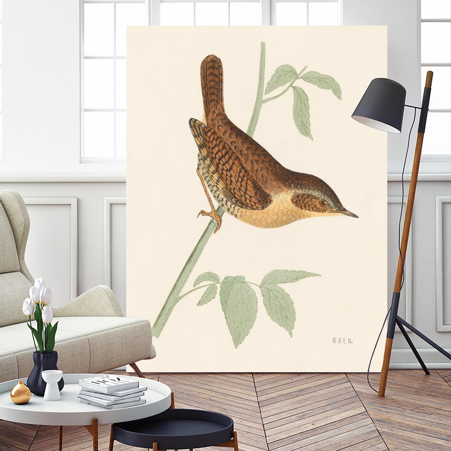 Engraved Birds I by Wild Apple Portfolio on GIANT ART - animals animal