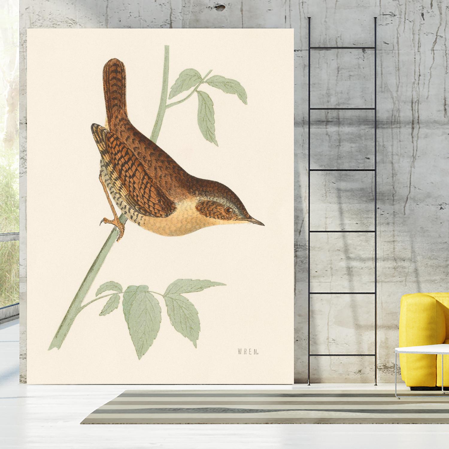 Engraved Birds I by Wild Apple Portfolio on GIANT ART - animals animal
