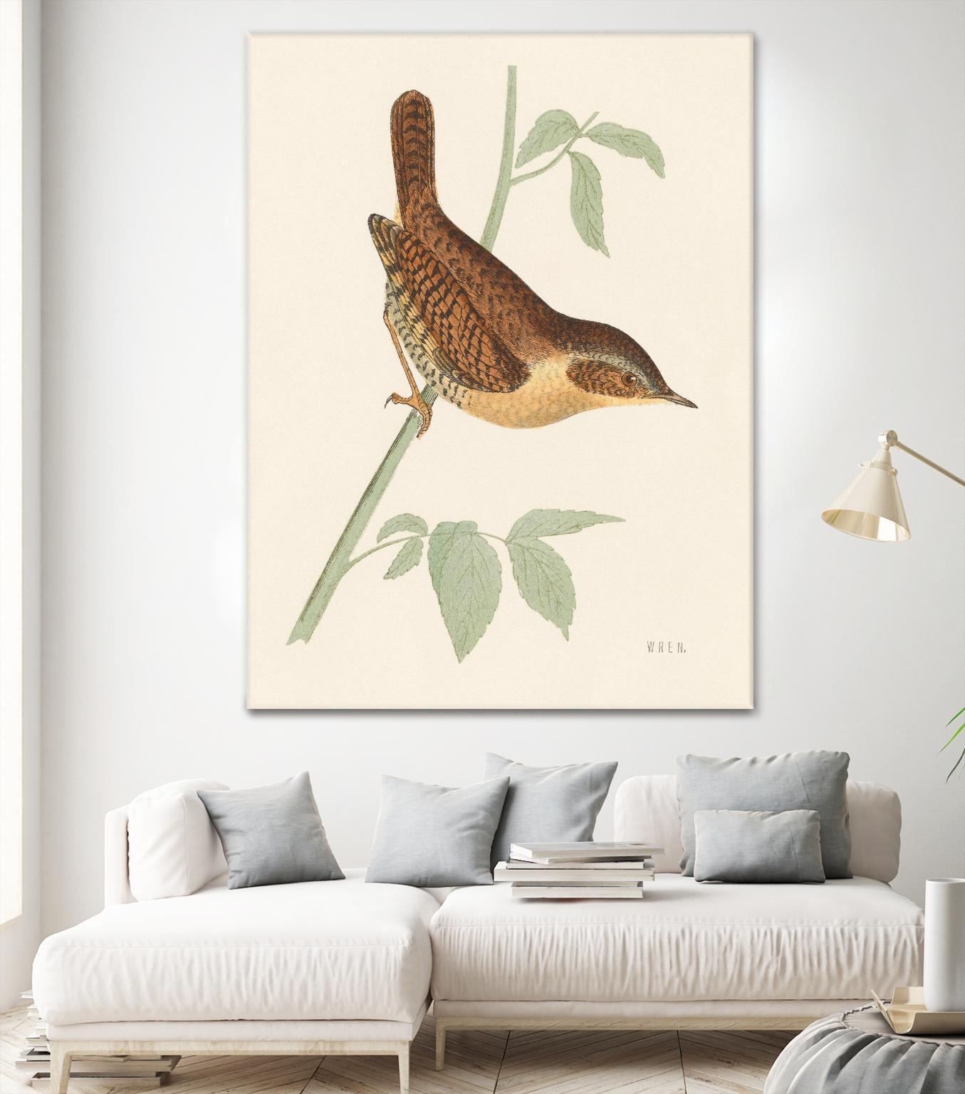 Engraved Birds I by Wild Apple Portfolio on GIANT ART - animals animal