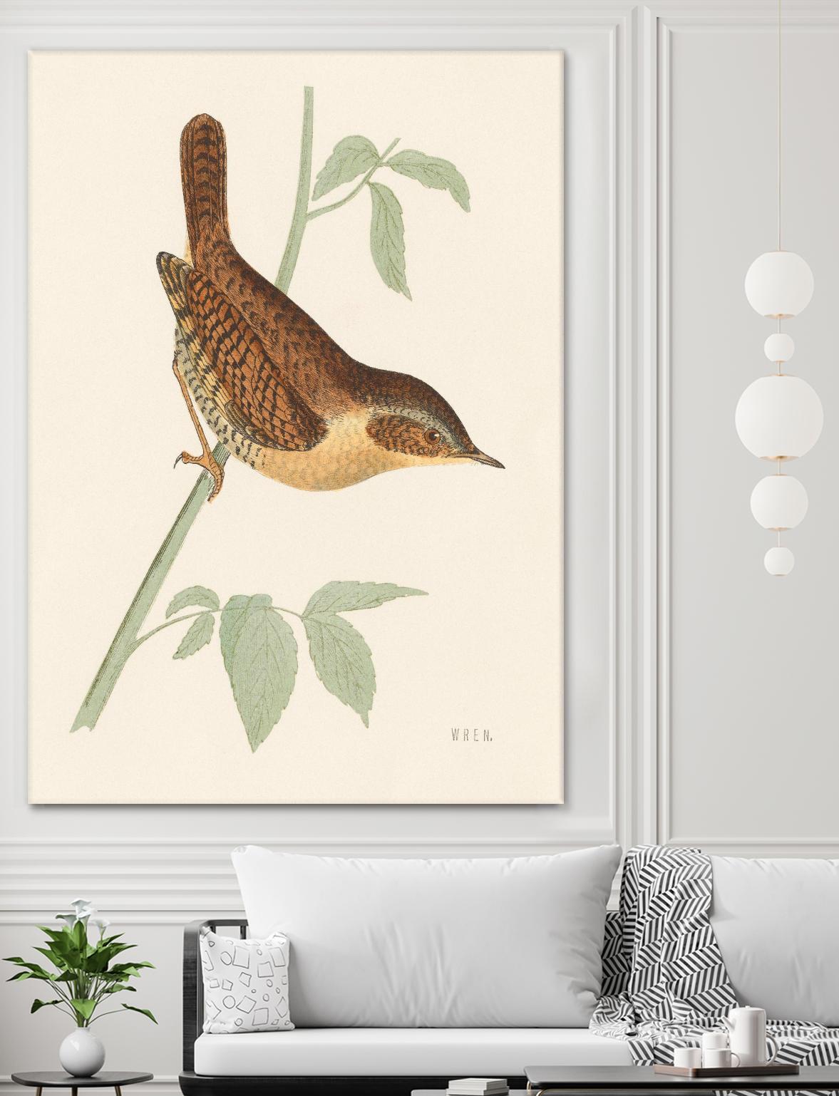 Engraved Birds I by Wild Apple Portfolio on GIANT ART - animals animal