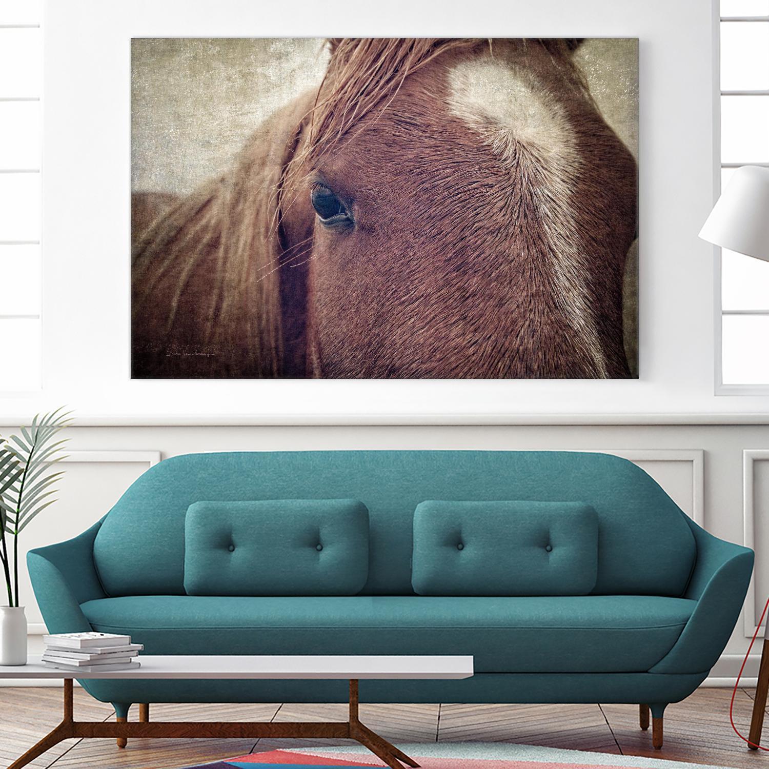 Dew Lashes by Debra Van Swearingen on GIANT ART - animals animals