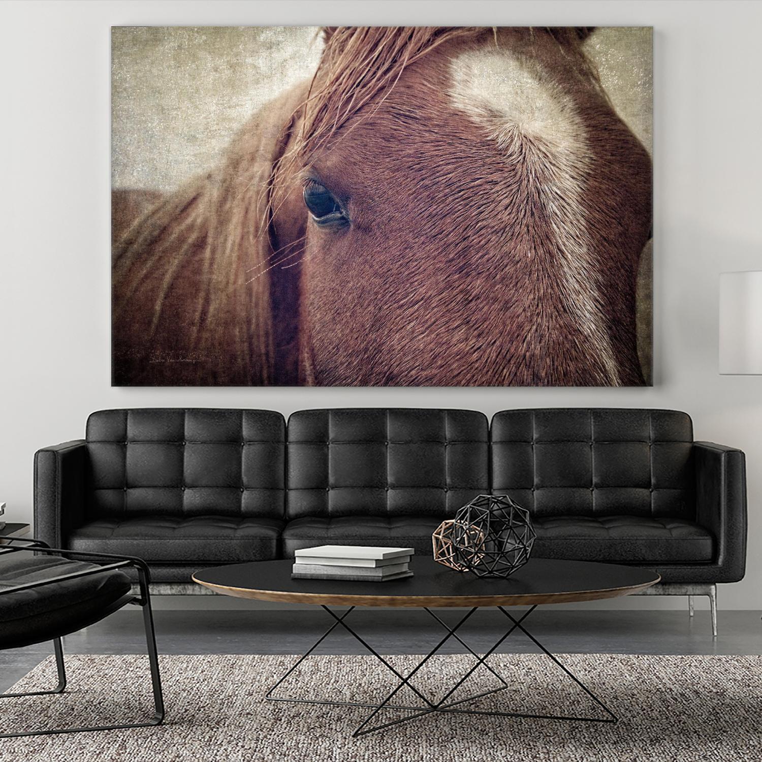 Dew Lashes by Debra Van Swearingen on GIANT ART - animals animals