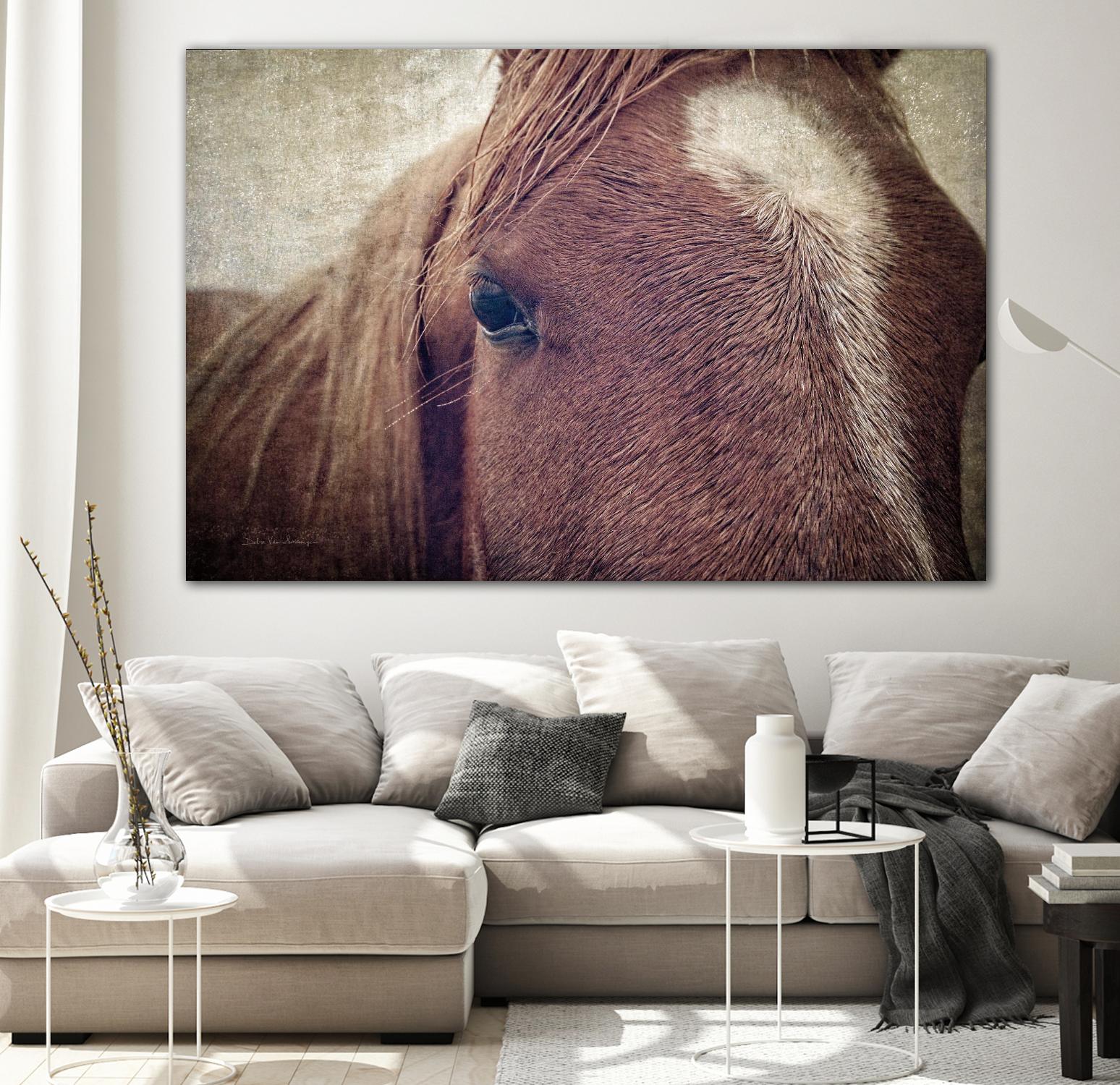 Dew Lashes by Debra Van Swearingen on GIANT ART - animals animals