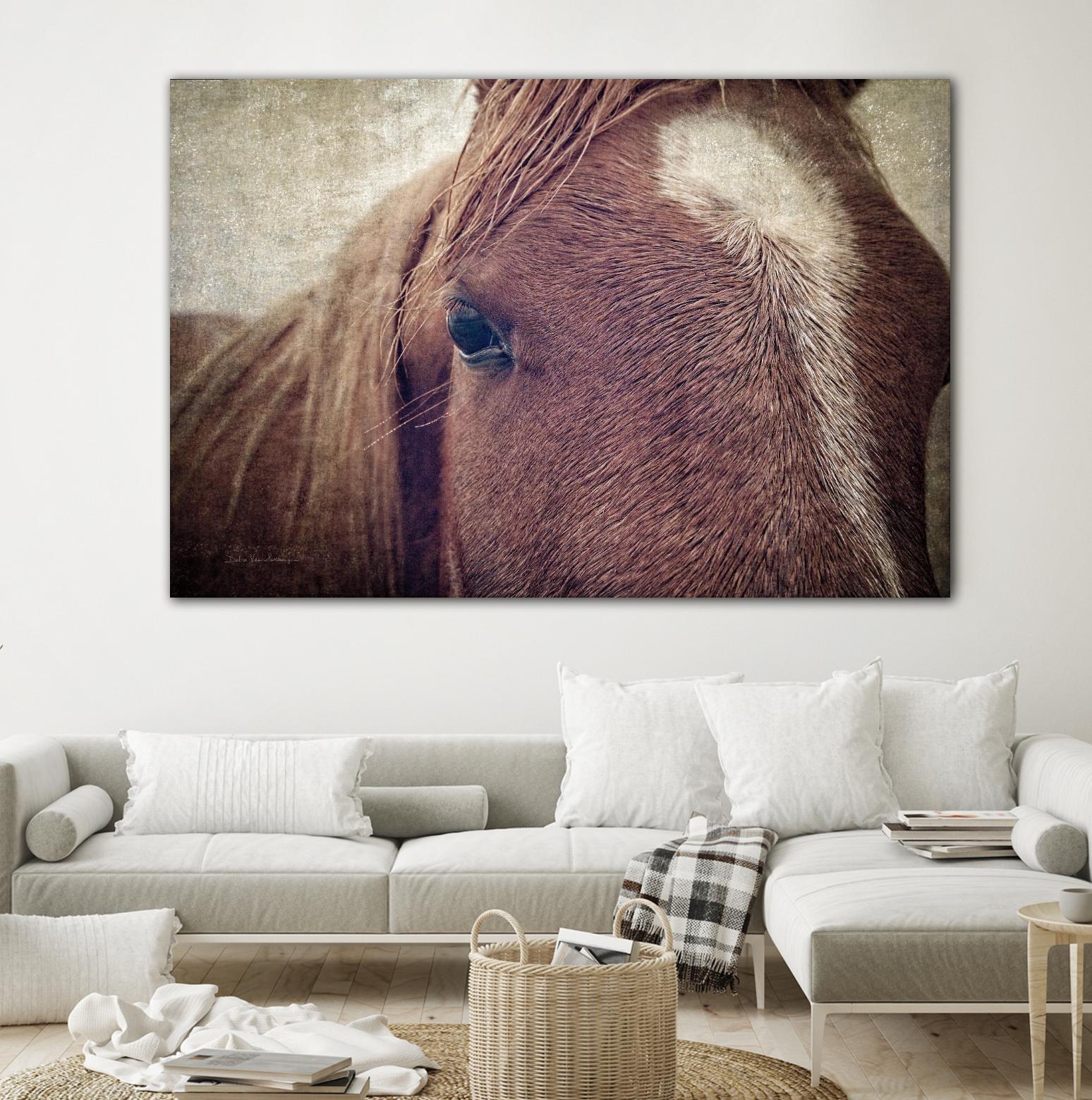 Dew Lashes by Debra Van Swearingen on GIANT ART - animals animals