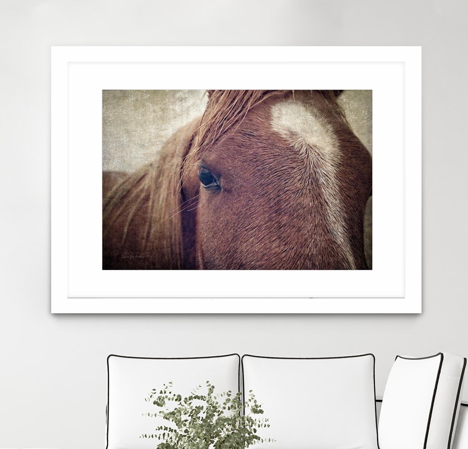 Dew Lashes by Debra Van Swearingen on GIANT ART - animals animals