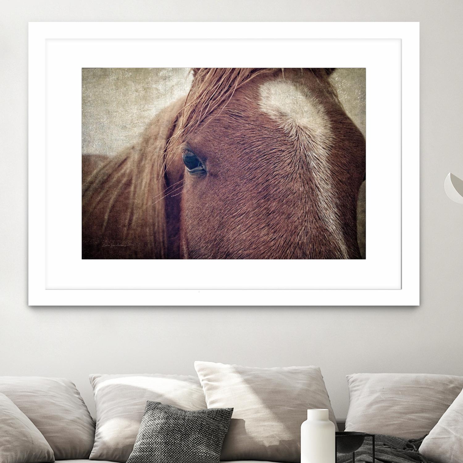 Dew Lashes by Debra Van Swearingen on GIANT ART - animals animals