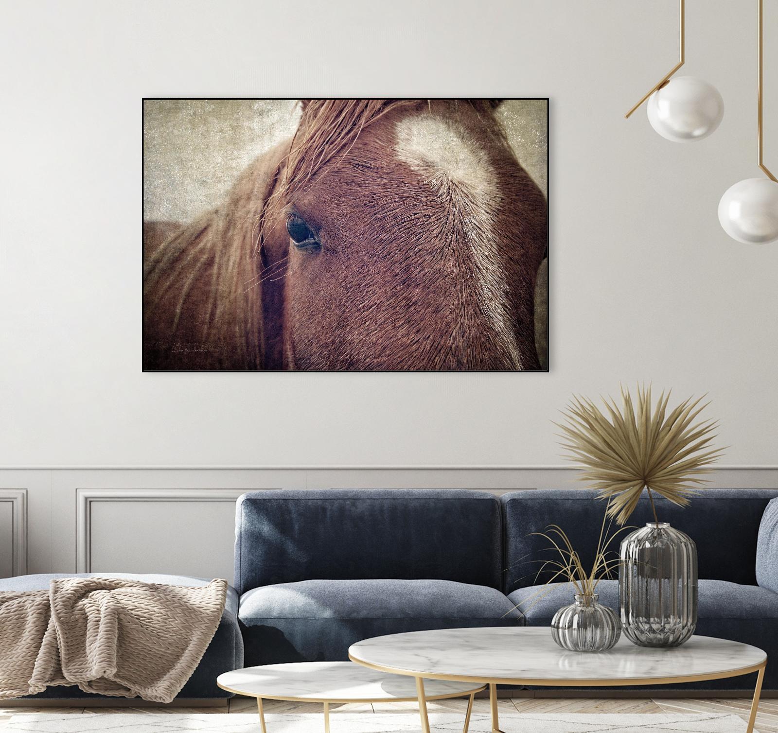 Dew Lashes by Debra Van Swearingen on GIANT ART - animals animals