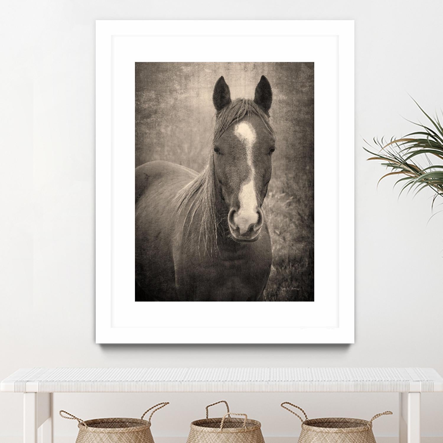 Heres Looking at You II by Debra Van on GIANT ART - animals animals