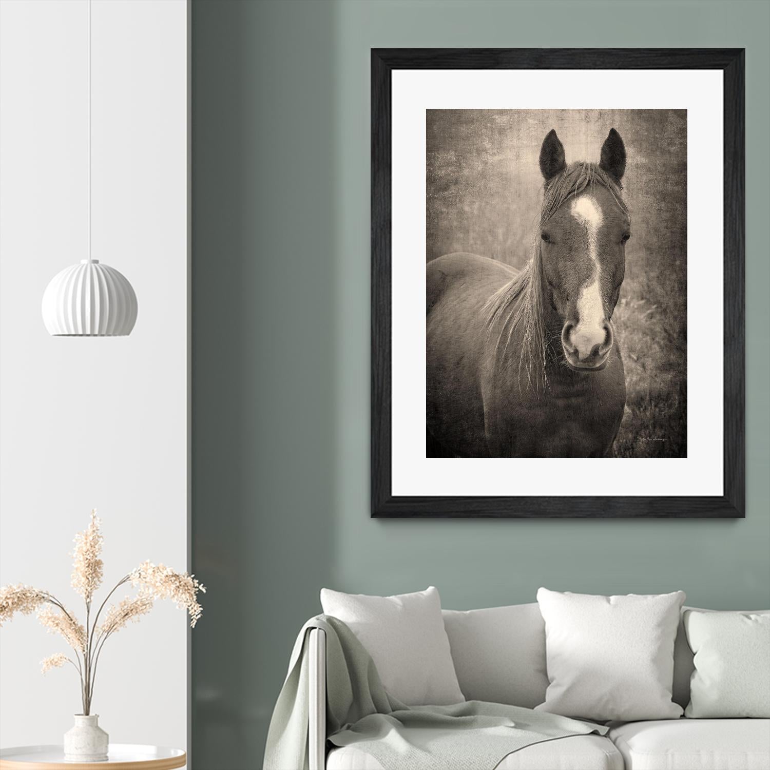 Heres Looking at You II by Debra Van on GIANT ART - animals animals