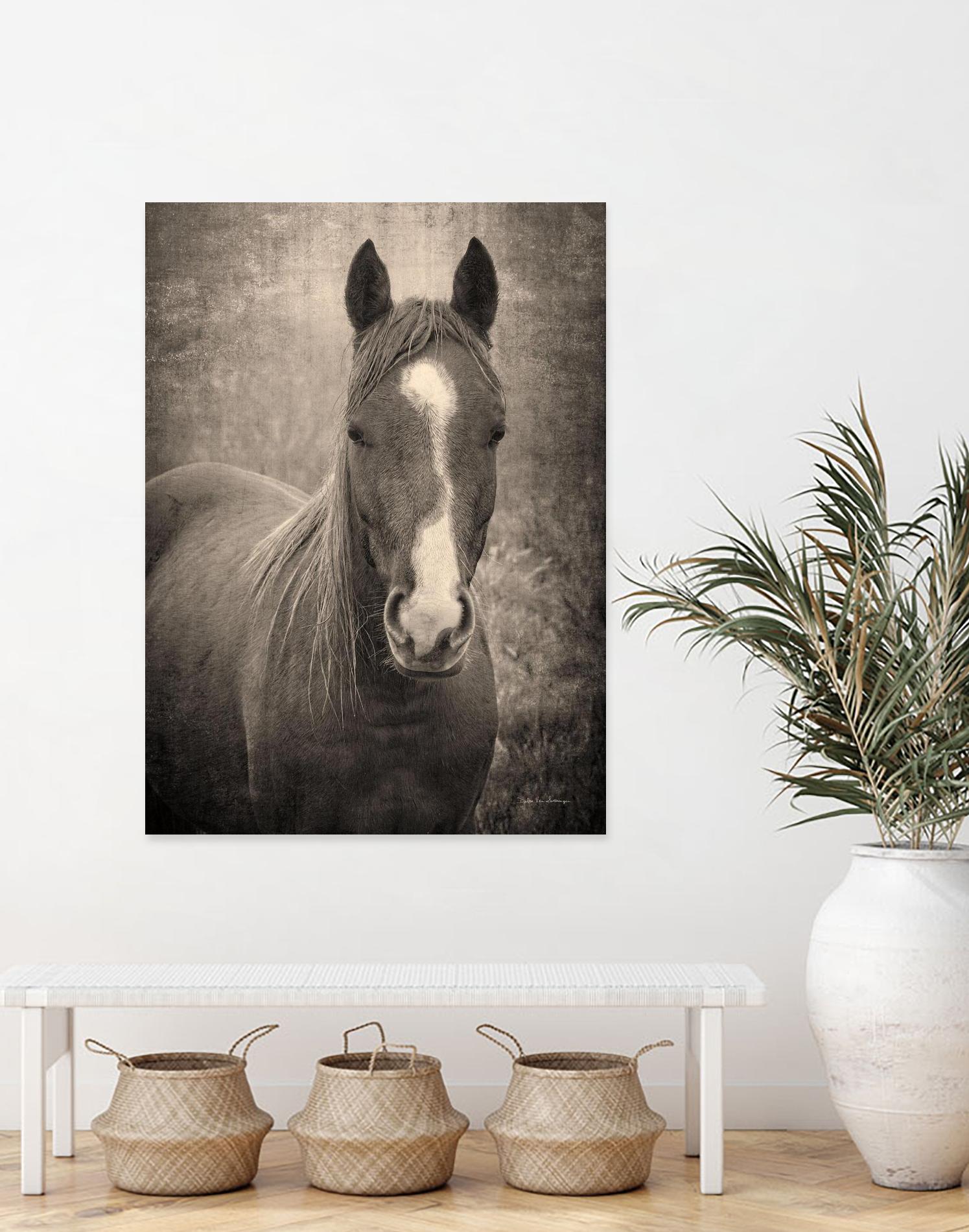 Heres Looking at You II by Debra Van on GIANT ART - animals animals