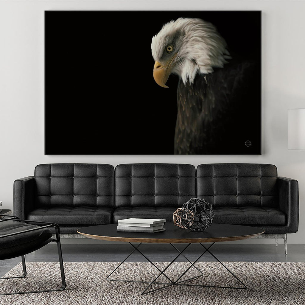 Eagle Bow by Nathan Larson on GIANT ART - animals american eagle