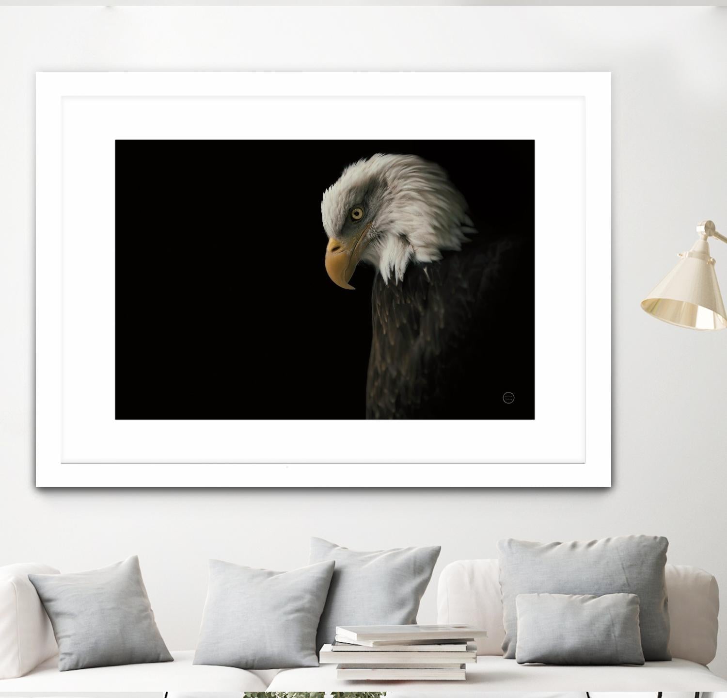 Eagle Bow by Nathan Larson on GIANT ART - white animals oiseau